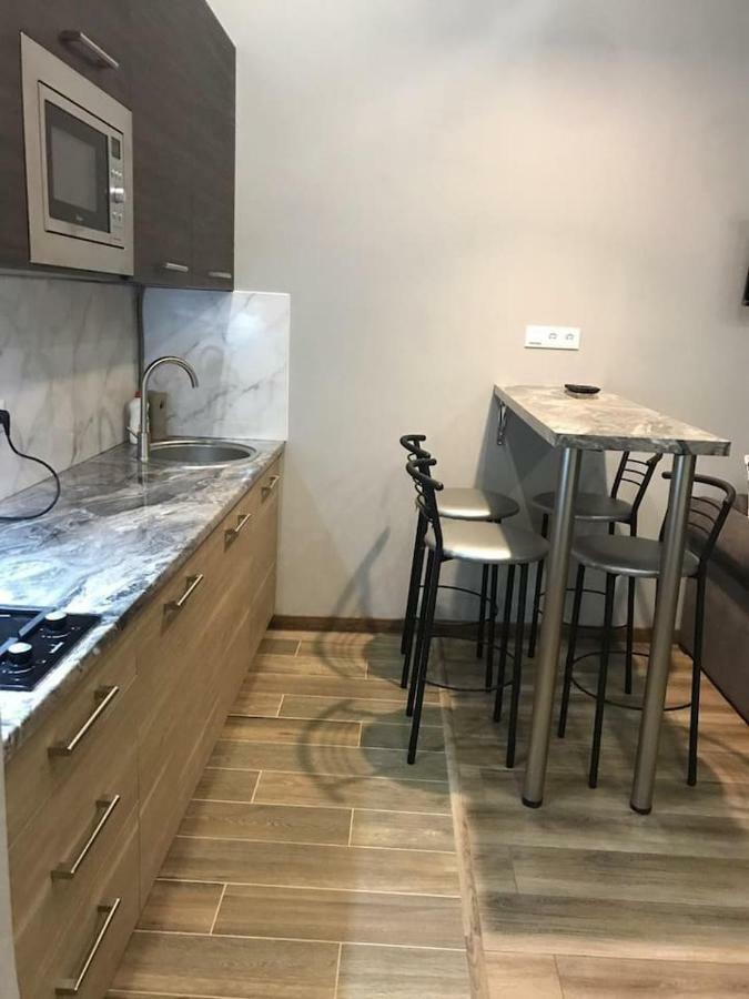 New Appartment-Studio Іn The Center Of Lviv Extérieur photo